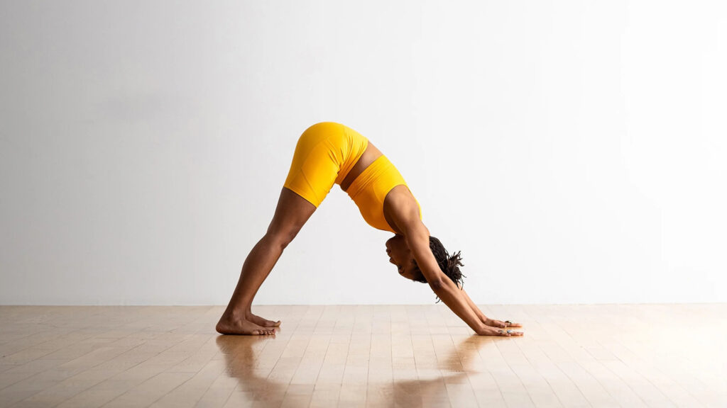 Downward-Facing Dog (Adho Mukha Svanasana)