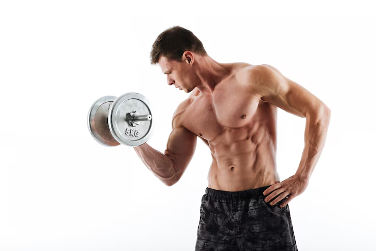 Protein and Muscle Building: The Anabolic Process